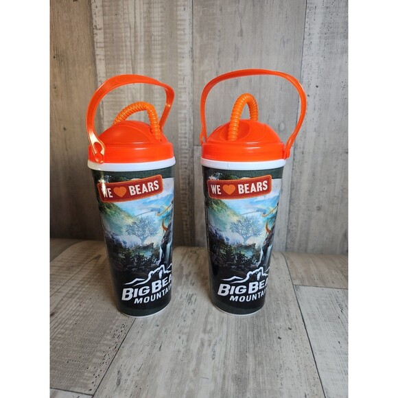 Dollywood Big Bear Mountain Souvenir Tumbler Cups 24oz Pair 2023 Clean - Picture 3 of 8
